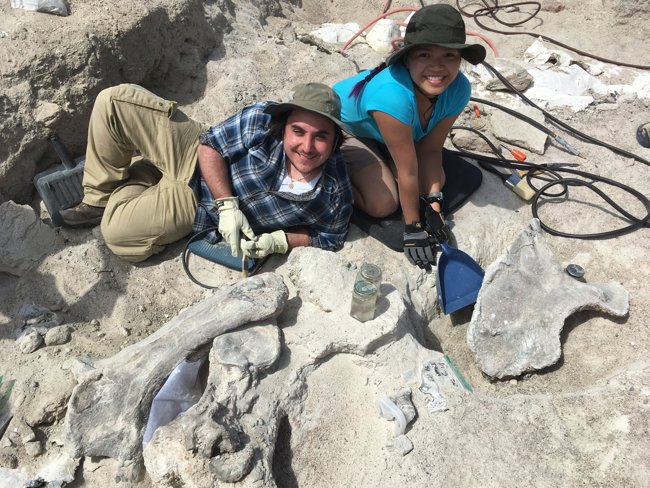 undergraduate and graduate students excavating during summer field course