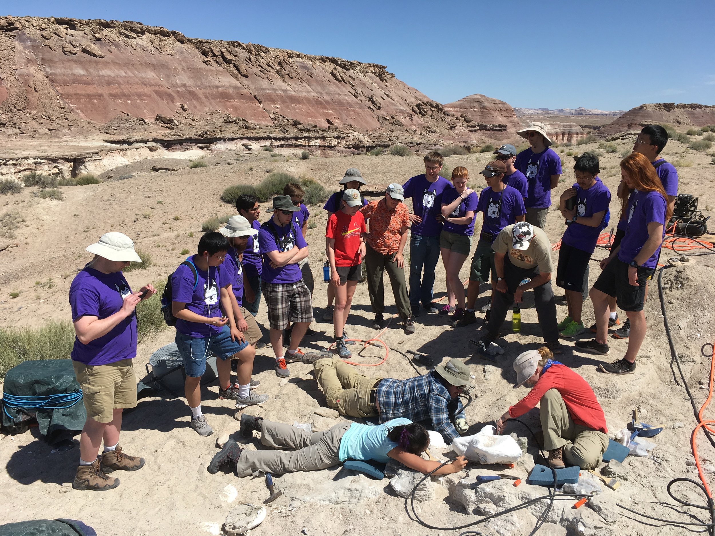summer field course